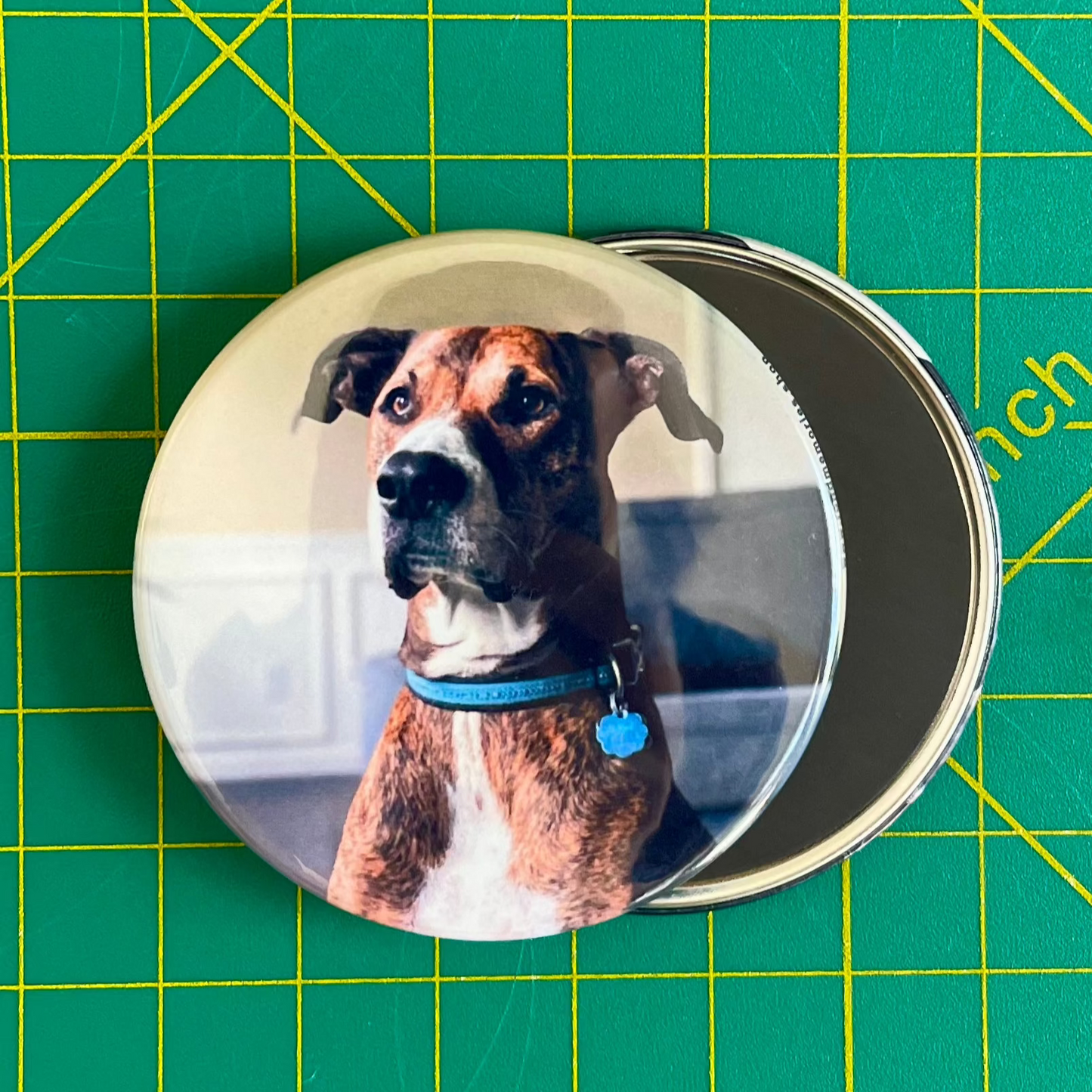 Custom Magnets - Set of 12